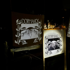 Shadow Puppet Installation for Night of Dread 2024